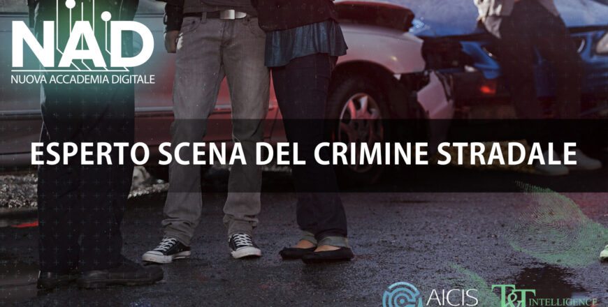 CRIMINE STRADALE2.jpg