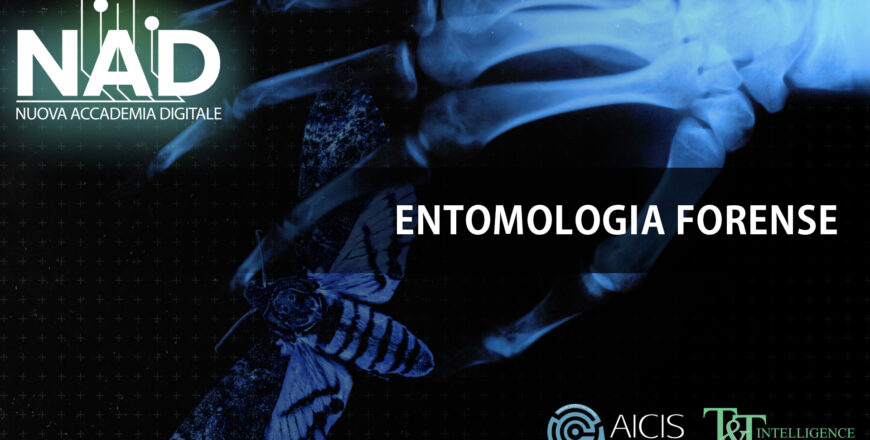 ENTOMOLOGIA FORENSE.jpg